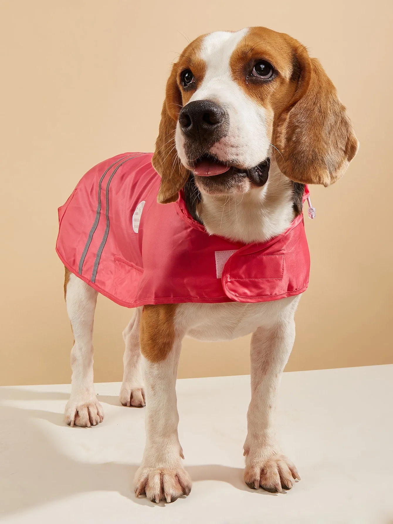 1pc Hooded Pet Raincoat