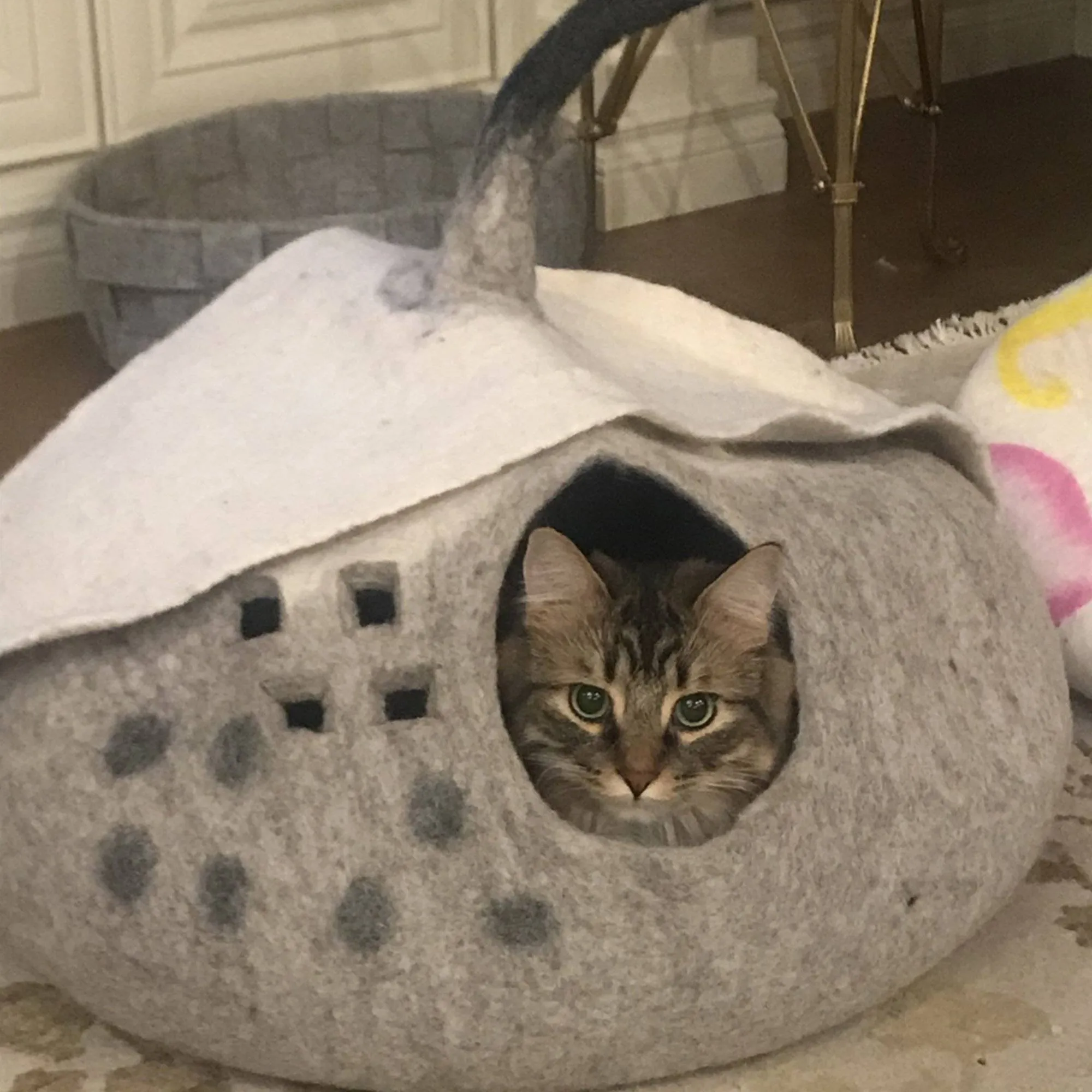 3D Fairy House Cat Cave