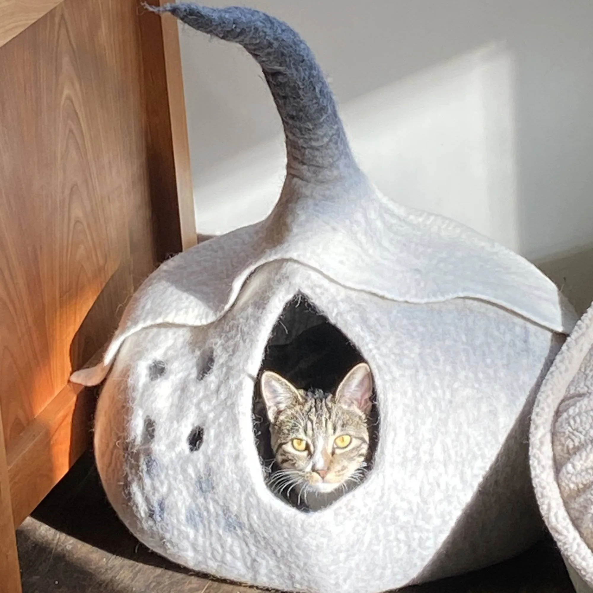 3D Fairy House Cat Cave