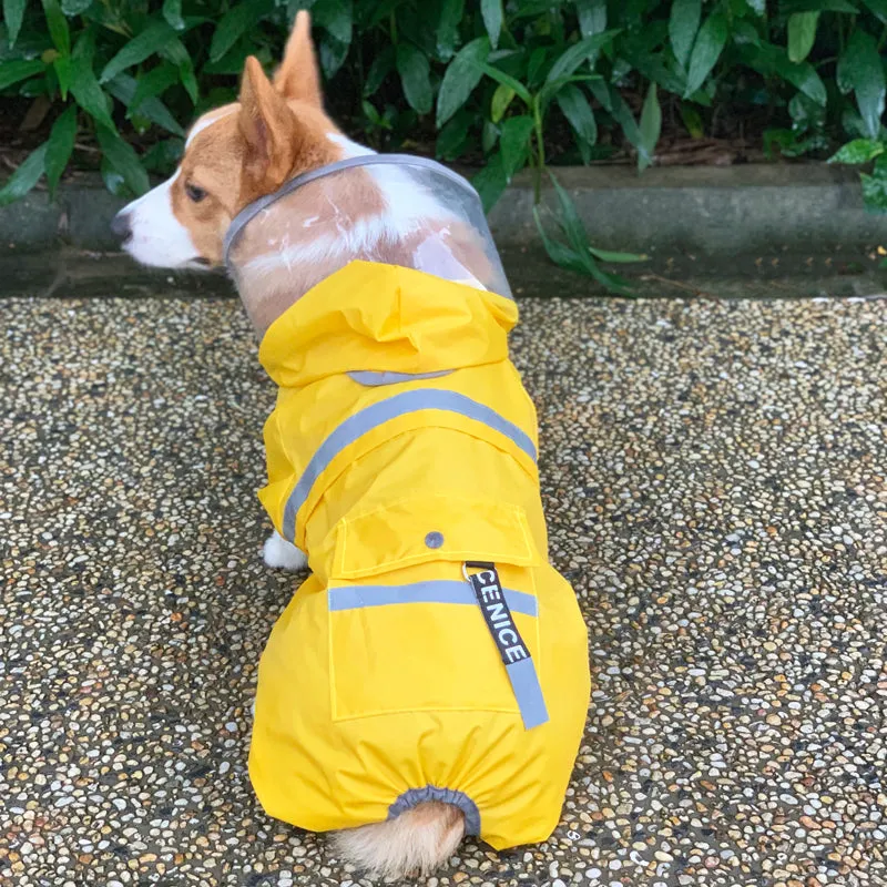 Corgi dog raincoat