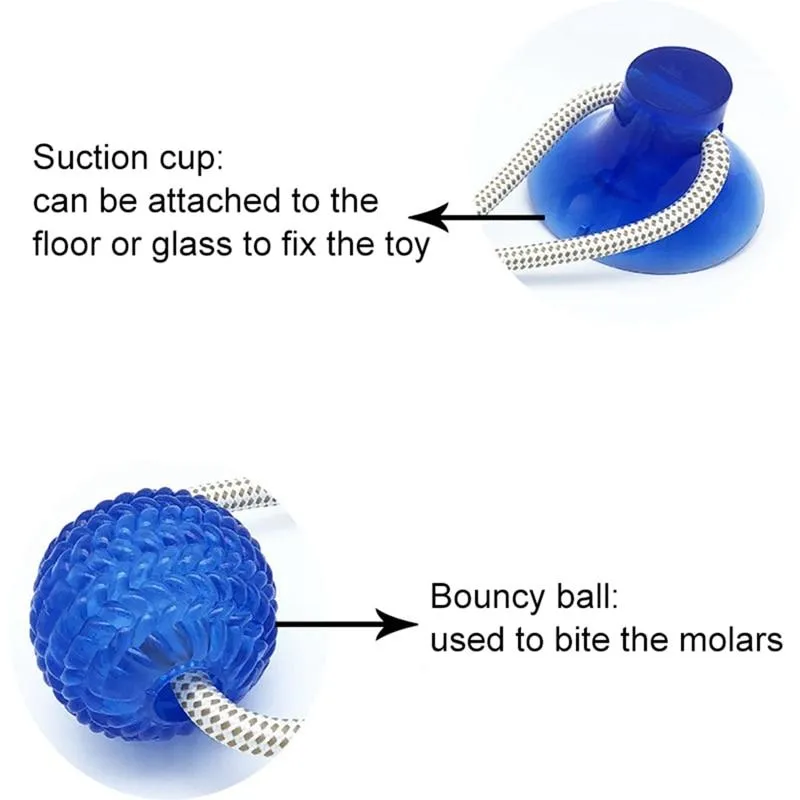 Dog Suction Cup Ball, Tug Toy - Adheres to floor or wall - Interactive Chew Toy