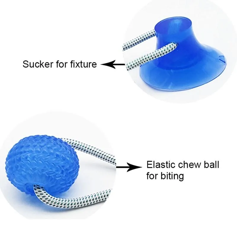 Dog Suction Cup Ball, Tug Toy - Adheres to floor or wall - Interactive Chew Toy
