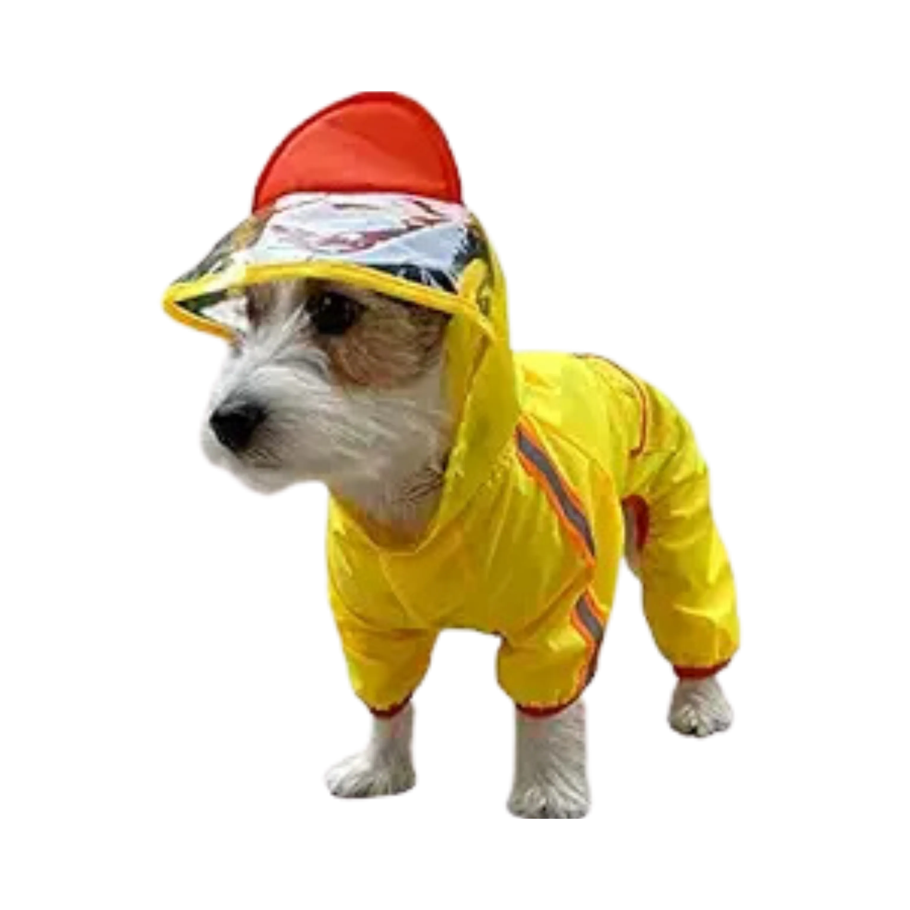 FOFOS PET RAINCOAT-DUCK (XL)