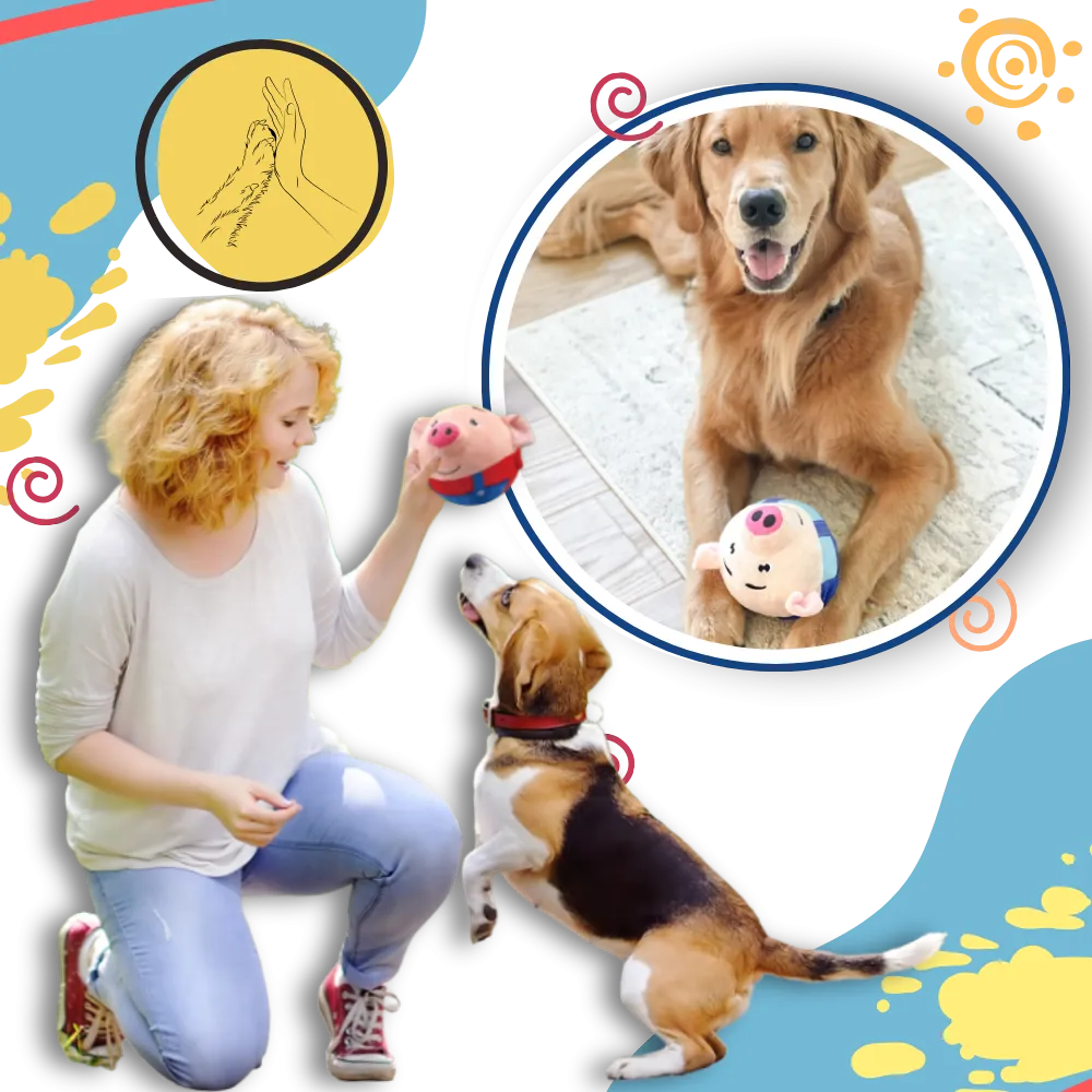 Paw Bounce Sensor Toy