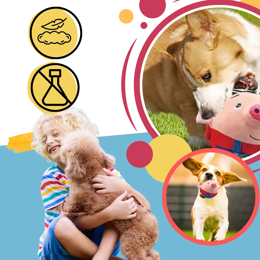 Paw Bounce Sensor Toy