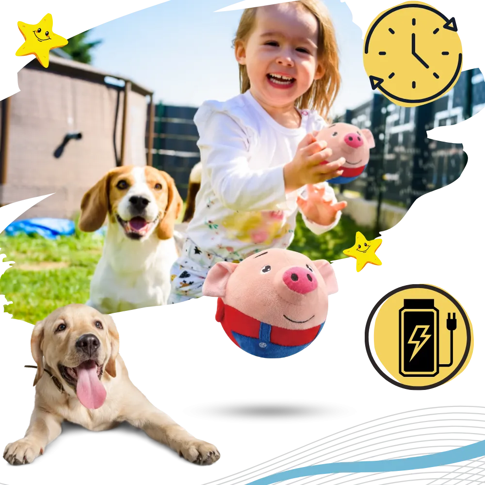 Paw Bounce Sensor Toy