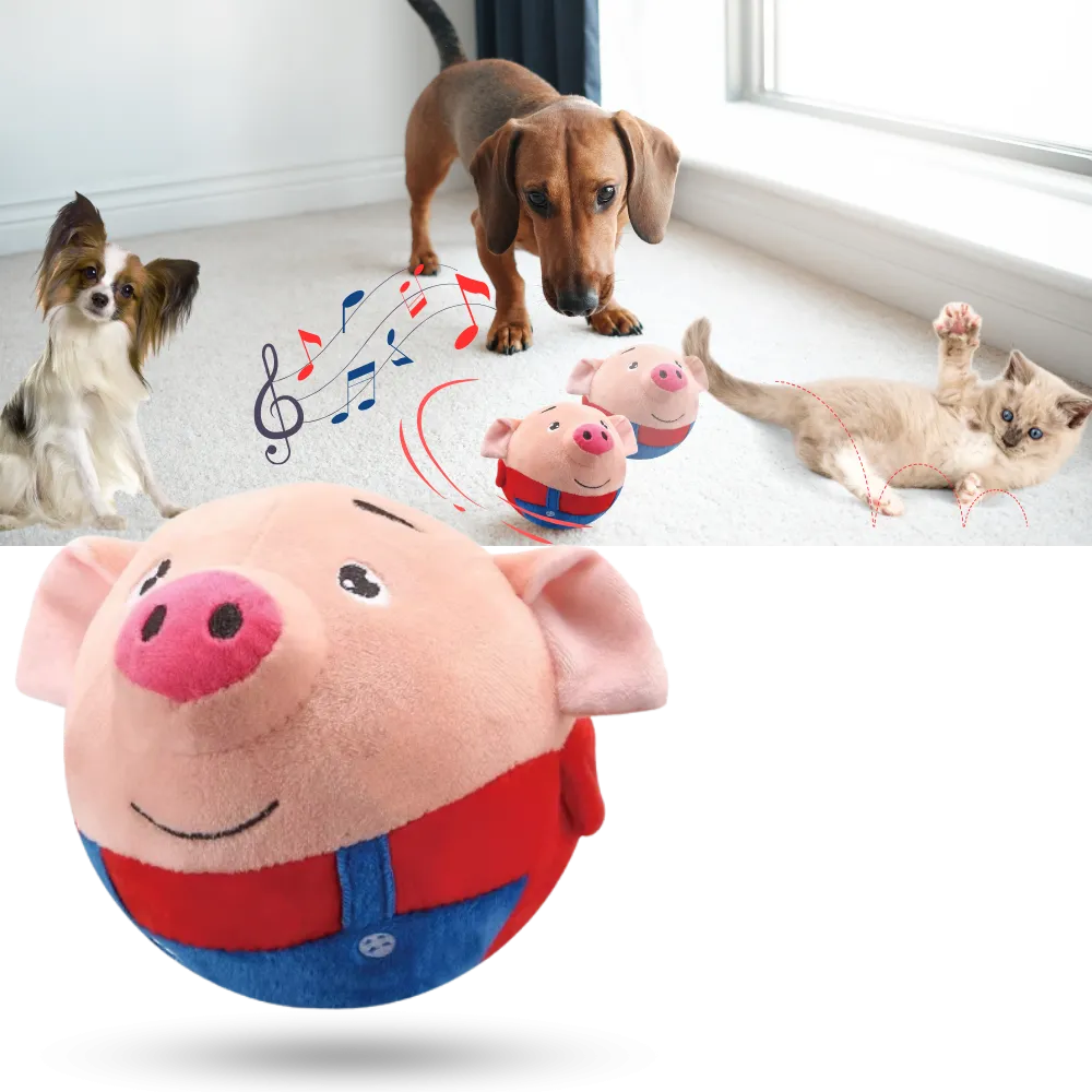 Paw Bounce Sensor Toy