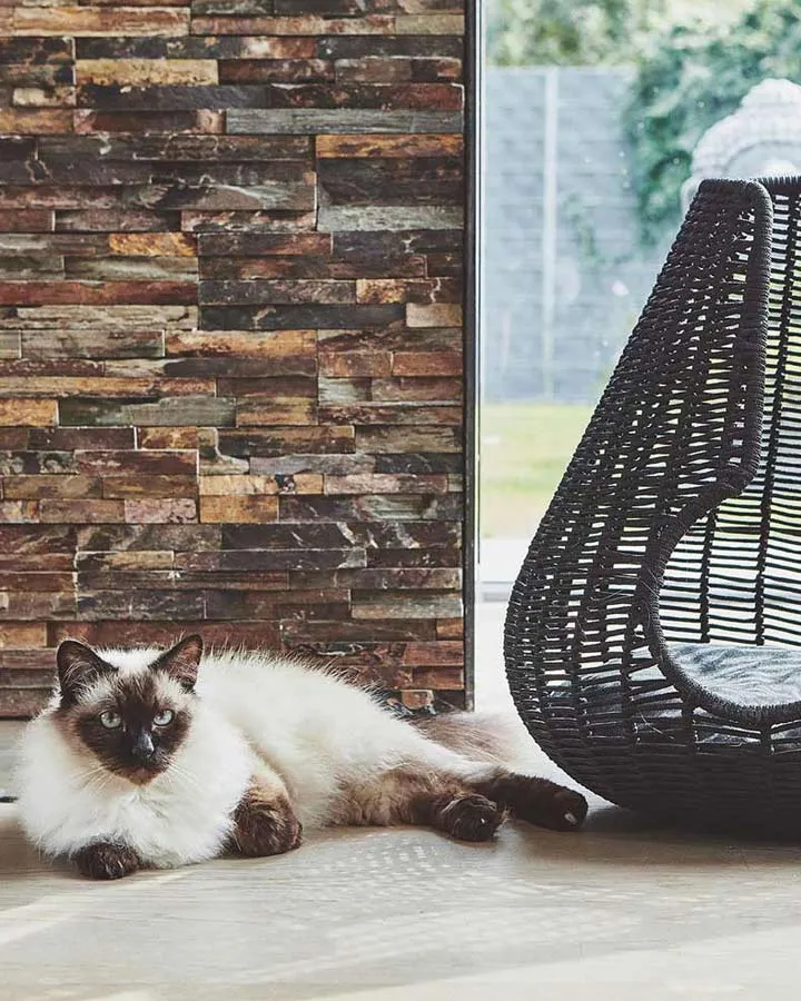 Perla Cat Cave (Anthracite)