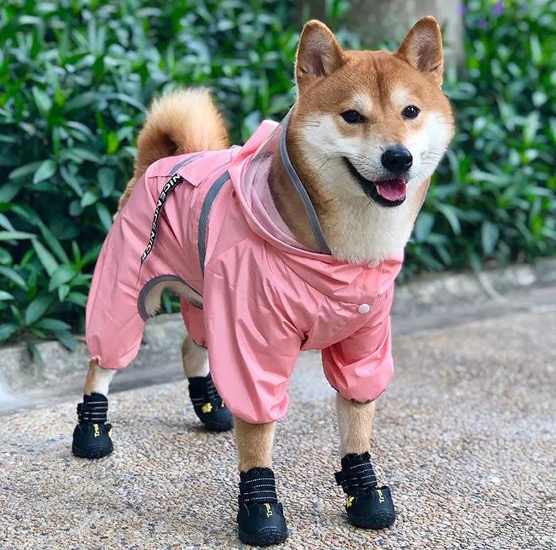Shiba inu dog raincoat