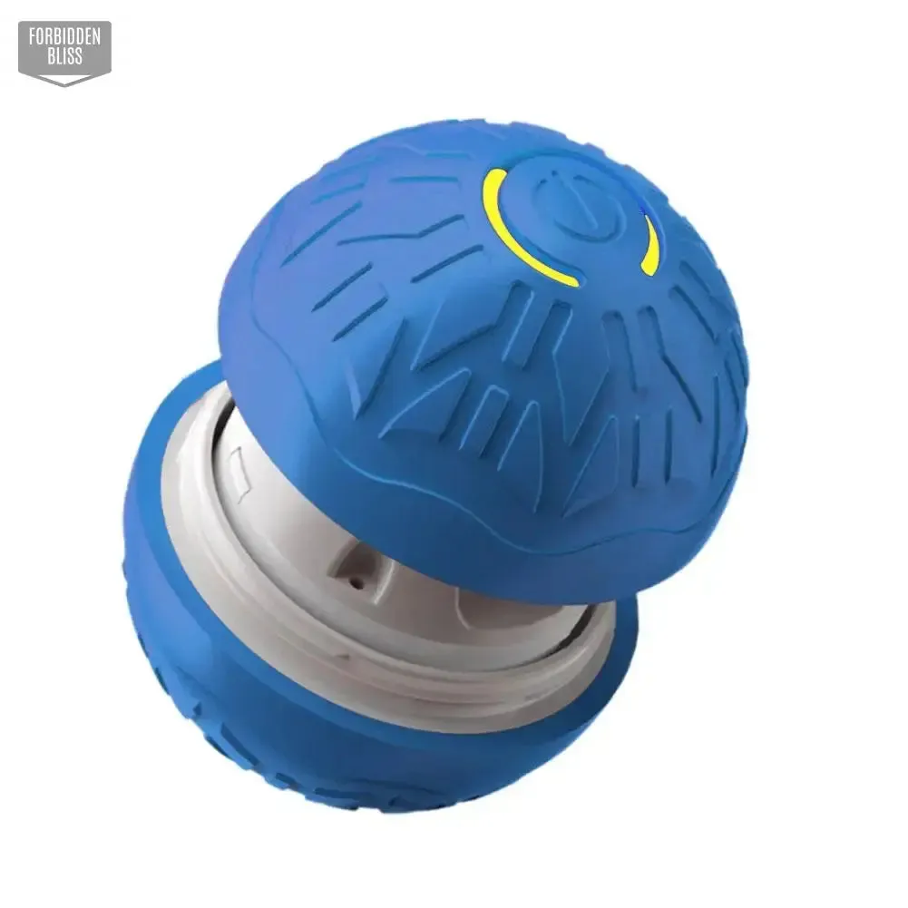 Smart Dog Toy