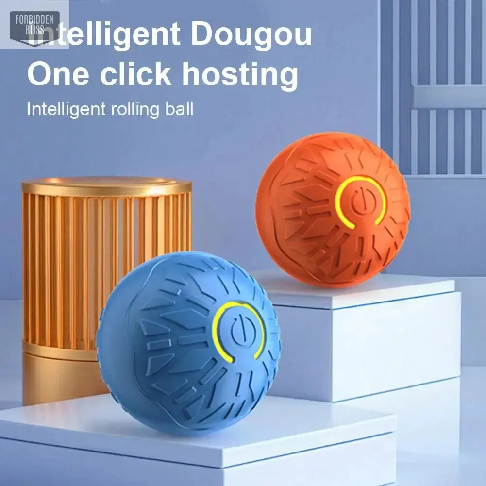 Smart Dog Toy