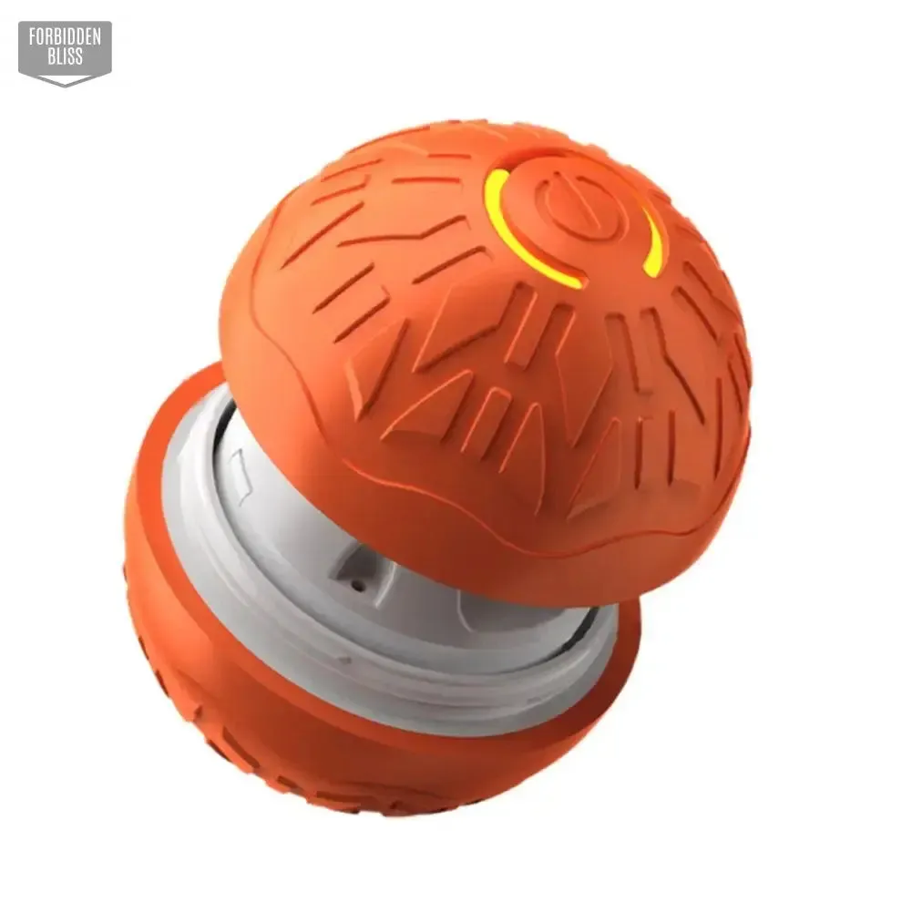 Smart Dog Toy
