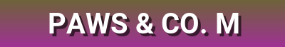 Daily Care & Autumn Collection | Organic Shampoos, Pet Treats, Heated Cat Caves & More - [Shop Name]